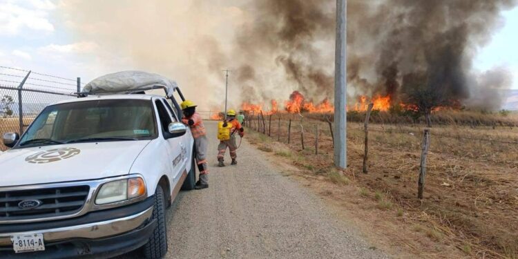 Se tuvieron que suspender aterrizajes hasta que se logre controlar la situación