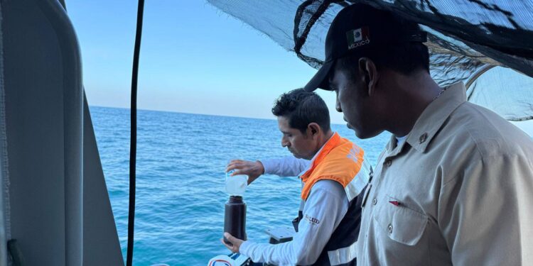 La Secretaría de Salud de Chiapas confirmó presencia de toxinas en moluscos bivalvos y prohibió su consumo y venta.