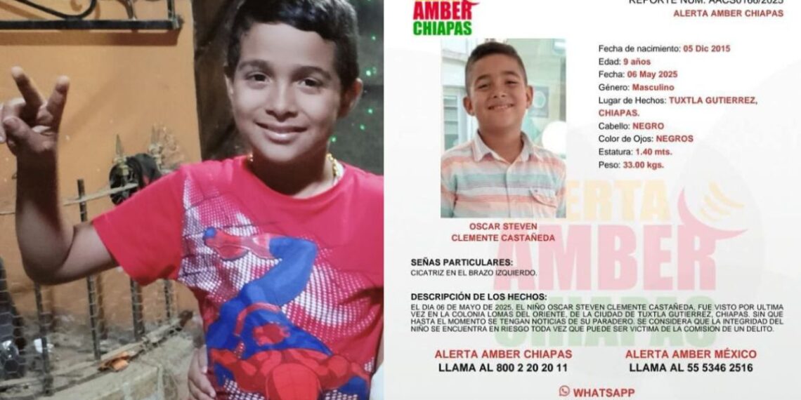 Trascendió que las autoridades estatales pudieron hablar con el menor, quien manifestó su voluntad de estar con su progenitora