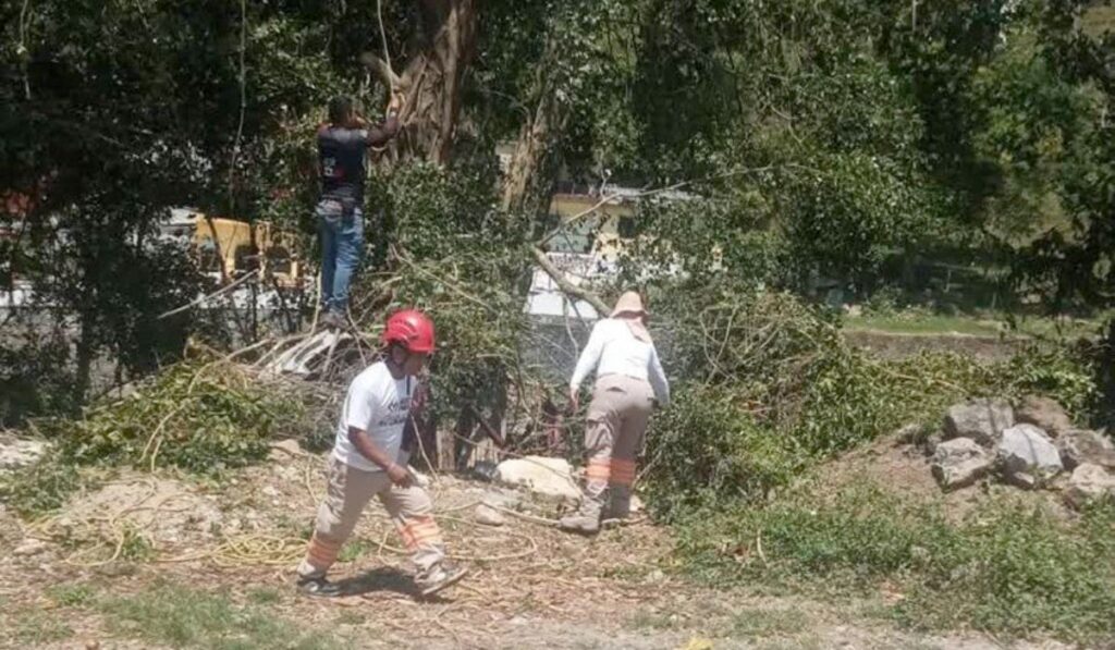 Al menos tres viviendas resultaron afectadas tras el desprendimiento de láminas y la caída de estructuras de madera.