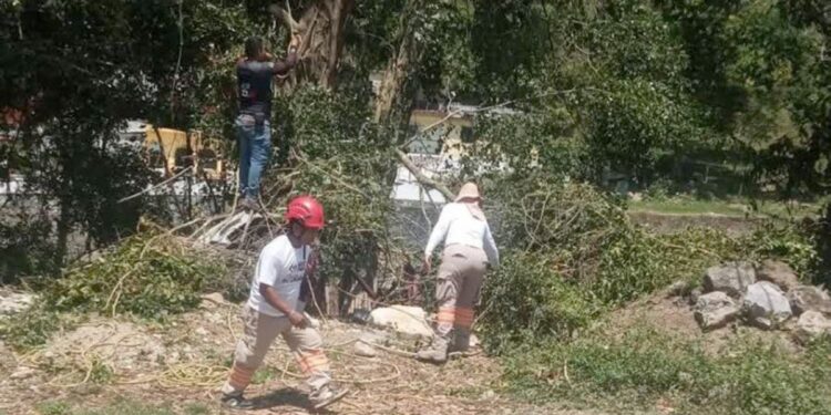 Al menos tres viviendas resultaron afectadas tras el desprendimiento de láminas y la caída de estructuras de madera.