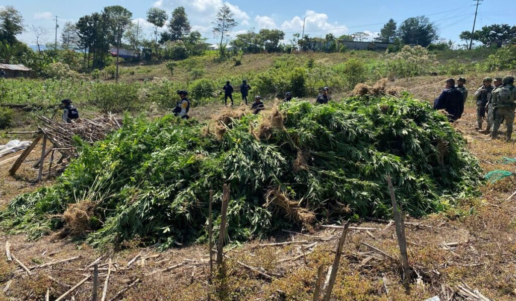 La Fiscalía Federal en Chiapas judicializó 170 carpetas y aseguró armas, vehículos y drogas.