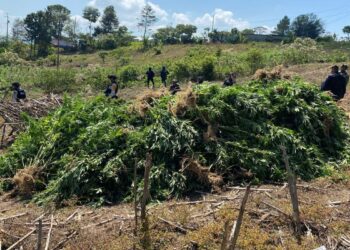 La Fiscalía Federal en Chiapas judicializó 170 carpetas y aseguró armas, vehículos y drogas.