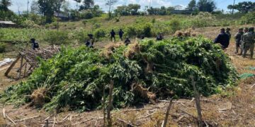 La Fiscalía Federal en Chiapas judicializó 170 carpetas y aseguró armas, vehículos y drogas.