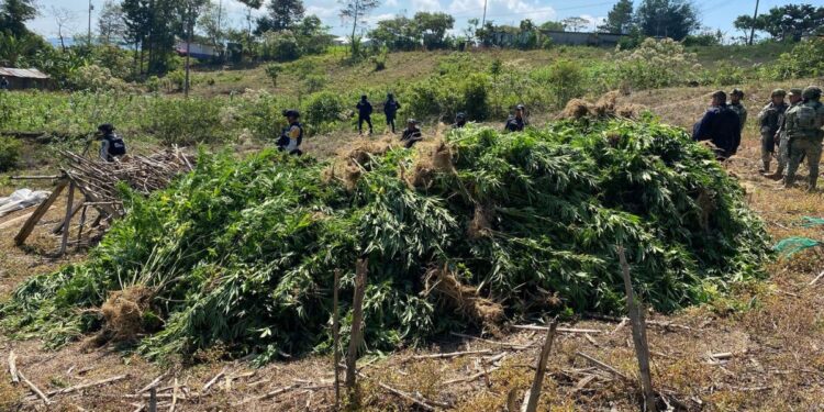 La Fiscalía Federal en Chiapas judicializó 170 carpetas y aseguró armas, vehículos y drogas.