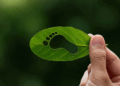 Entender la huella de carbono es clave ante la crisis climática global; este indicador permite medir el impacto ambiental de nuestras acciones y tomar decisiones más sostenibles.