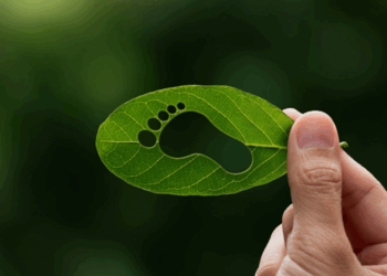 Entender la huella de carbono es clave ante la crisis climática global; este indicador permite medir el impacto ambiental de nuestras acciones y tomar decisiones más sostenibles.