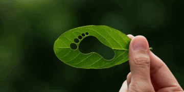 Entender la huella de carbono es clave ante la crisis climática global; este indicador permite medir el impacto ambiental de nuestras acciones y tomar decisiones más sostenibles.