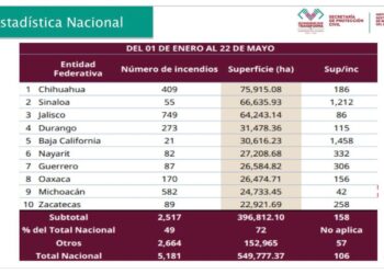 El estado disminuyó en 87 % su superficie afectada por incendios forestales en 2025.