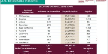 El estado disminuyó en 87 % su superficie afectada por incendios forestales en 2025.