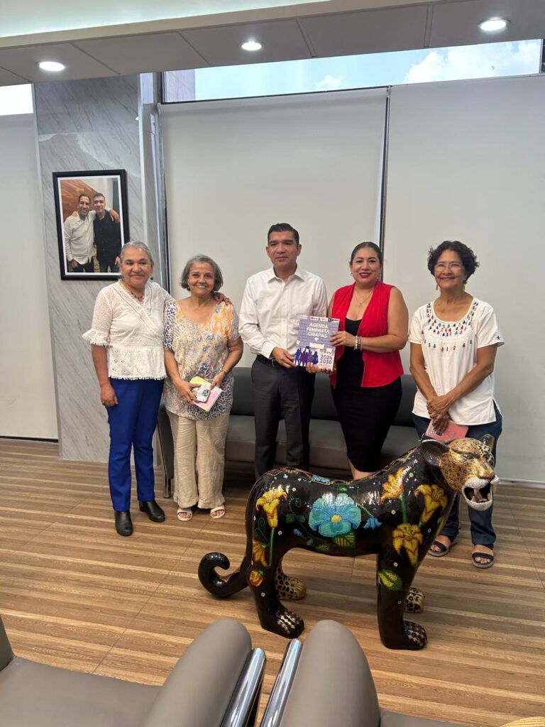 Estuvieron presentes por parte de la Agenda Feminista: María Teresa Olvera Caballer, María Antonieta Valera, Paulina Conde y Candelaria Rodríguez.