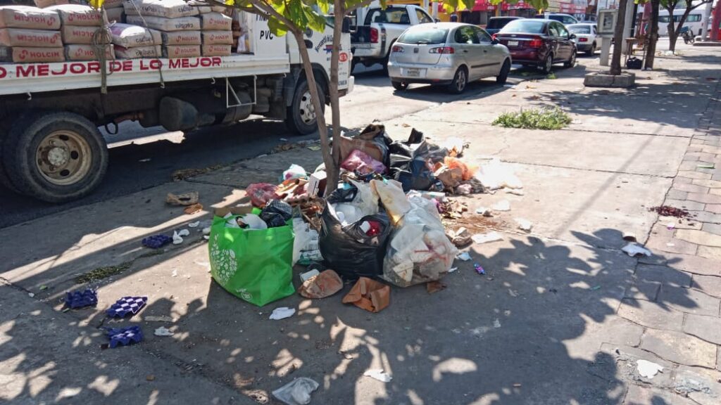 Ciudadanos han denunciado que esto da una mala imagen además de ser un foco de infección.