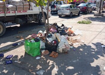 Ciudadanos han denunciado que esto da una mala imagen además de ser un foco de infección.