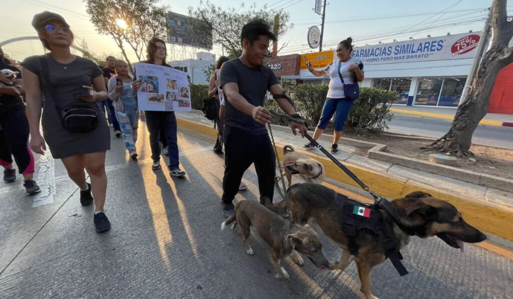 Piden a las autoridades que esto se agregue al Código Penal de Chiapas.