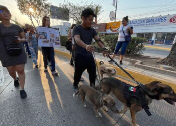 Piden a las autoridades que esto se agregue al Código Penal de Chiapas.