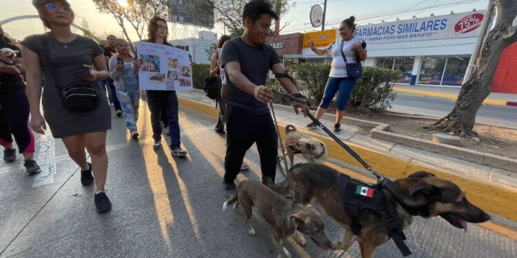 Piden a las autoridades que esto se agregue al Código Penal de Chiapas.