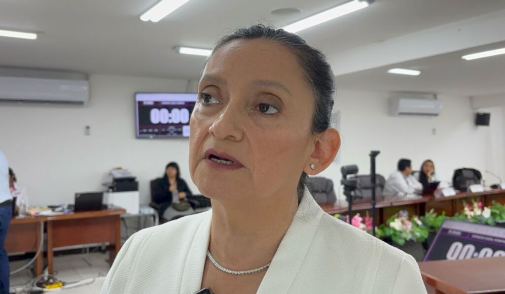 Sugieren revisar tiempos y fortalecer presupuesto para el proceso.