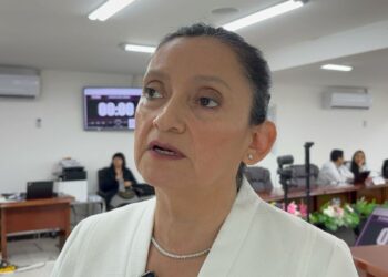 Sugieren revisar tiempos y fortalecer presupuesto para el proceso.