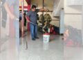 Bomberos de Tuxtla han rescatado boas, tlacuaches y aves en colonias de la capital.