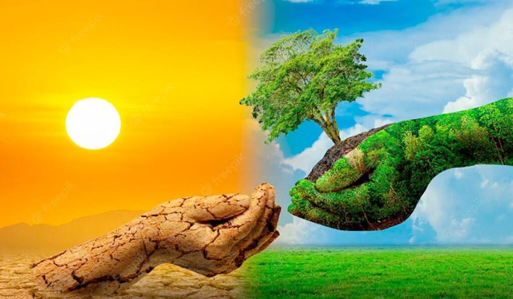 Con el lema “Sin contaminación por plásticos”, la ONU llama a la acción global frente a la crisis ambiental.