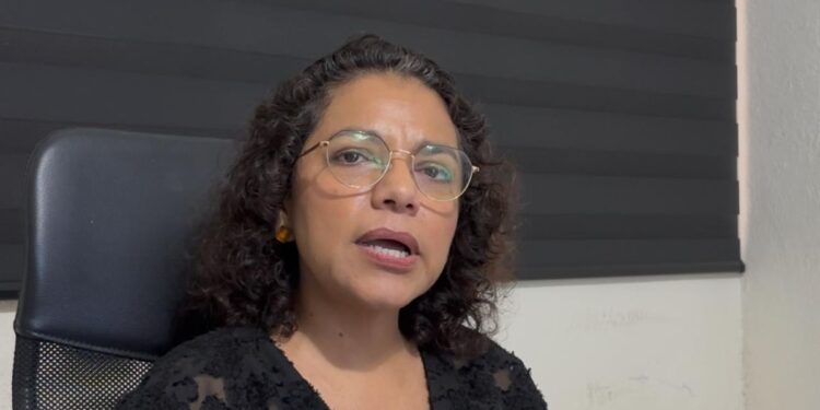 Académicos urgieron promover cultura contributiva ante desconocimiento generalizado del sistema.