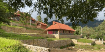 Ofrecen Ingeniería Agroforestal sin examen de admisión ni límite de edad.