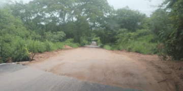 Automovilistas piden intervención urgente para limpiar tramo y evitar accidentes.