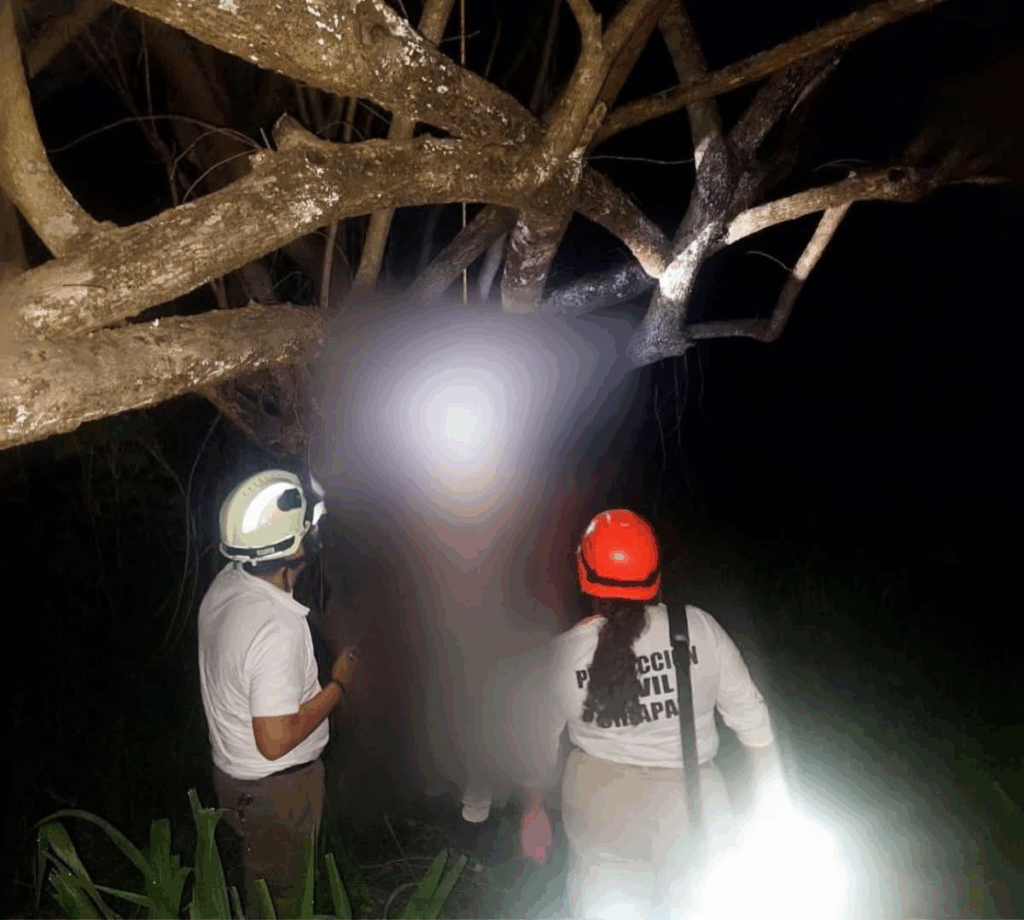 El cuerpo fue encontrado suspendido de un árbol; la FGE realiza investigaciones para esclarecer los hechos.