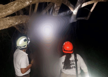 El cuerpo fue encontrado suspendido de un árbol; la FGE realiza investigaciones para esclarecer los hechos.