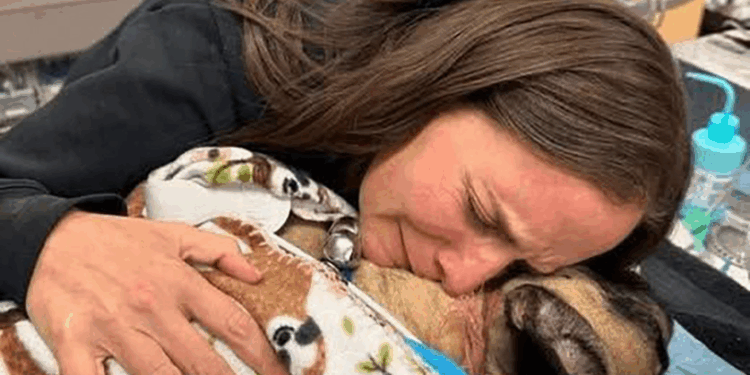 Este miércoles, el Congreso de Chiapas discutirá reformas penales para proteger a animales de compañía.