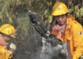 En 2025 se registró una baja del 84.43% en hectáreas afectadas por incendios forestales.