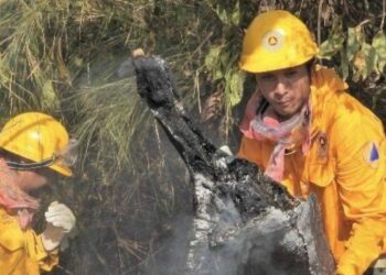 En 2025 se registró una baja del 84.43% en hectáreas afectadas por incendios forestales.