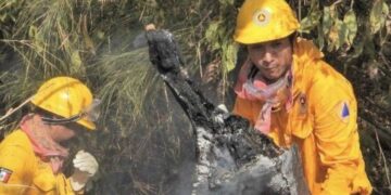 En 2025 se registró una baja del 84.43% en hectáreas afectadas por incendios forestales.