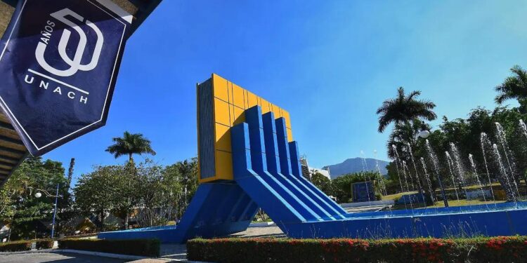 Derecho y Arquitectura concentran más solicitudes de estudiantes para continuar estudios