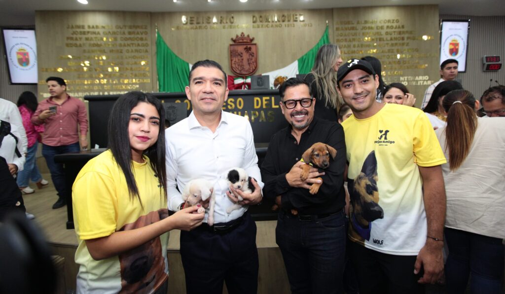 Congreso aprobó sanciones penales contra quienes dañen a perros y gatos.