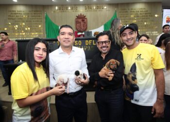 Congreso aprobó sanciones penales contra quienes dañen a perros y gatos.
