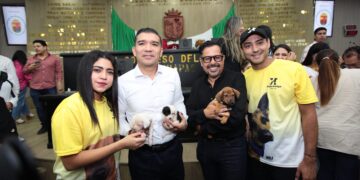 Congreso aprobó sanciones penales contra quienes dañen a perros y gatos.