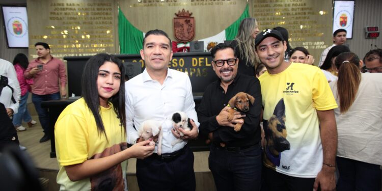 Congreso aprobó sanciones penales contra quienes dañen a perros y gatos.