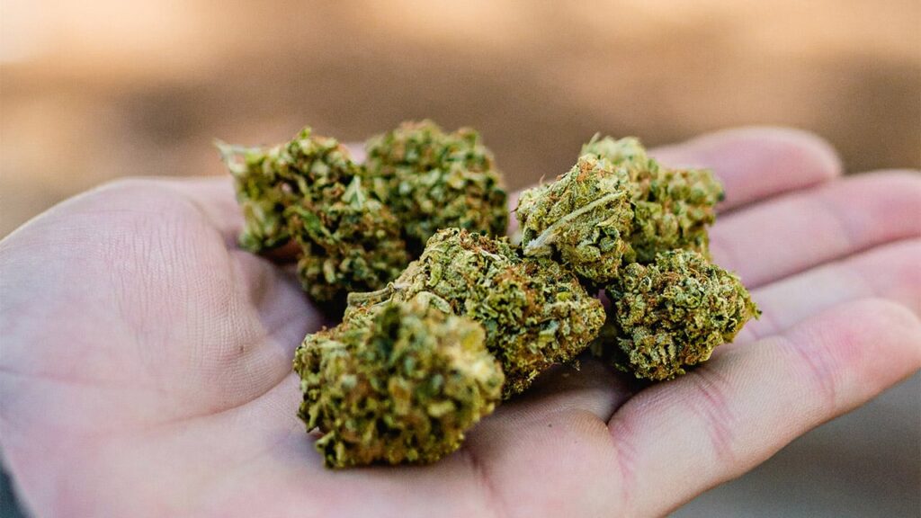 Cuidado, portar pequeñas cantidades de cannabis sin autorización sigue siendo falta administrativa.