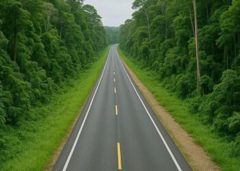 Ambientalistas y ONGs critican el proyecto San Cristóbal–Palenque, pero callan ante la deforestación provocada por agricultura, tráfico de madera y asentamientos irregulares.
