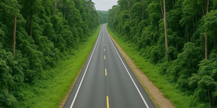 Ambientalistas y ONGs critican el proyecto San Cristóbal–Palenque, pero callan ante la deforestación provocada por agricultura, tráfico de madera y asentamientos irregulares.