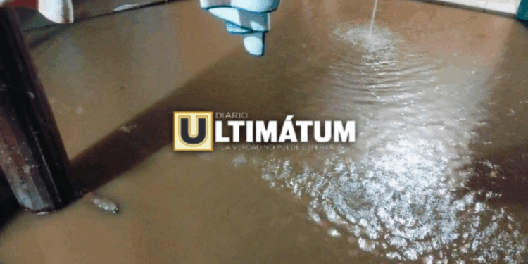 Al menos 10 viviendas fueron afectadas por aguas negras en El Palmar