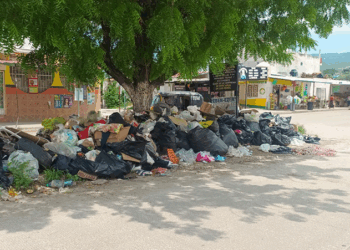 Señalan las carencias en los servicios municipales a la colonia Jardines del Grijalva.