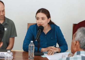 Expertos de China y Sudáfrica reconocen estrategia impulsada por Valeria Rosales