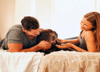 Cada vez más personas tratan a sus perros como miembros plenos de la familia: comen gourmet, duermen en la cama, tienen seguro y hasta herencia.