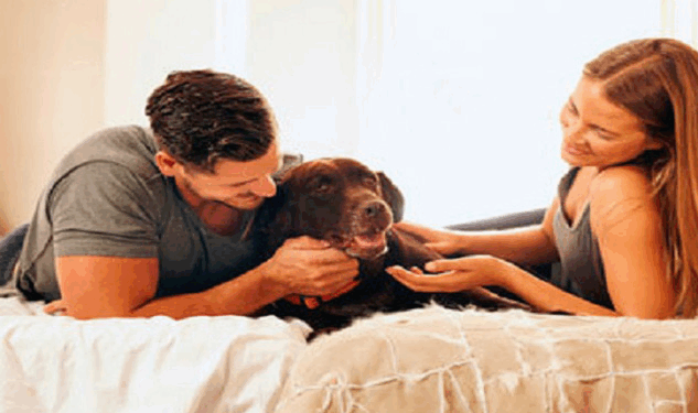 Cada vez más personas tratan a sus perros como miembros plenos de la familia: comen gourmet, duermen en la cama, tienen seguro y hasta herencia.