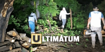 Autoridades piden precaución a automovilistas por trabajos de limpieza.