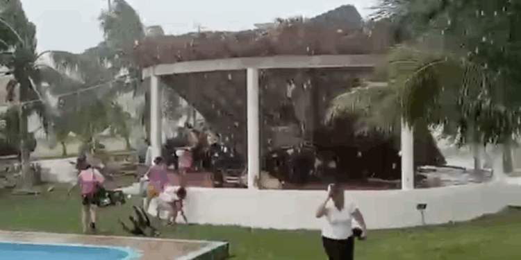 El desplome provocó momentos de tensión entre turistas; un hombre resultó con golpe en la cabeza.