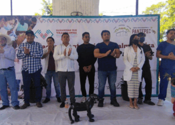 El gobierno municipal de Pantepec llevó odontología, oftalmología y consultas generales de manera gratuita; entregaron lentes y medicamentos.