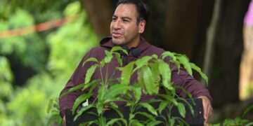 Gobierno de Chiapas busca reforestar 100 mil hectáreas antes de 2026.